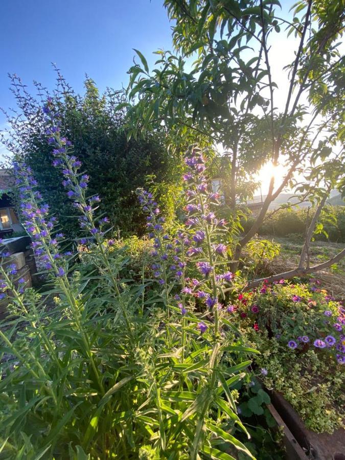 La Maison Du Potager Saint-Racho Экстерьер фото